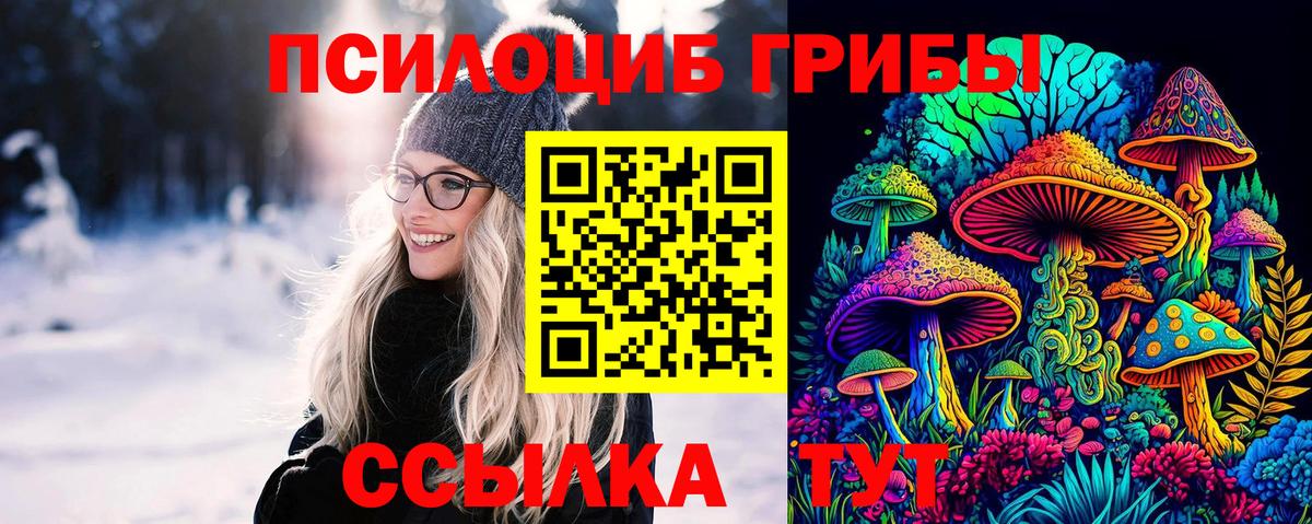Ангарск  Псилоцибиновые грибы Psilocybe  Галлюциногенные грибы Cubensis  Вход с VPN 