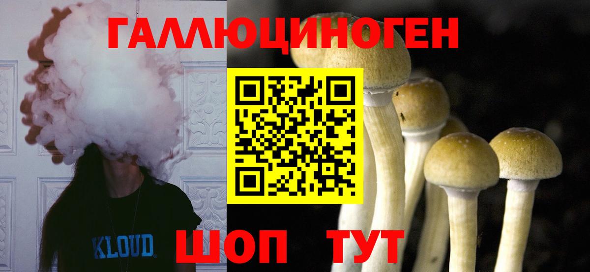 Галлюциногенные грибы прущие грибы Ангарск